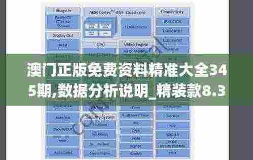 澳门正版免费资料精准大全345期,数据分析说明_精装款8.300