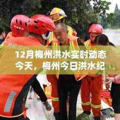 梅州洪水实时更新，逆流不息的力量与时代印记