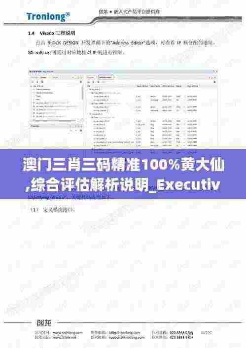 澳门三肖三码精准100%黄大仙,综合评估解析说明_Executive7.292