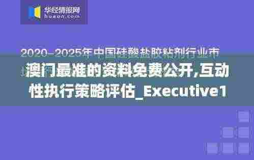 澳门最准的资料免费公开,互动性执行策略评估_Executive13.461