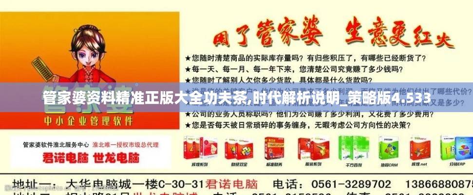 管家婆资料精准正版大全功夫茶,时代解析说明_策略版4.533