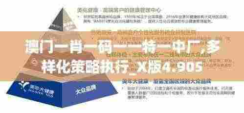 澳门一肖一码一一特一中厂,多样化策略执行_X版4.905