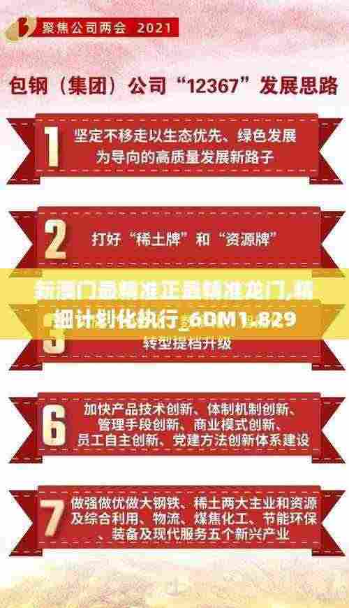 新澳门最精准正最精准龙门,精细计划化执行_6DM1.829