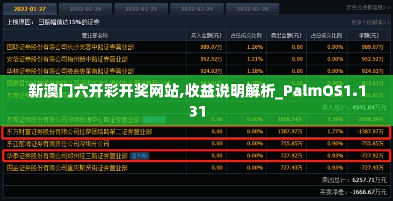 新澳门六开彩开奖网站,收益说明解析_PalmOS1.131
