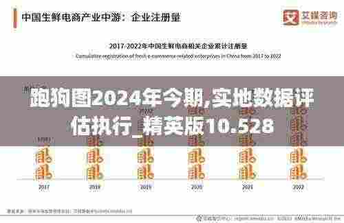 跑狗图2024年今期,实地数据评估执行_精英版10.528