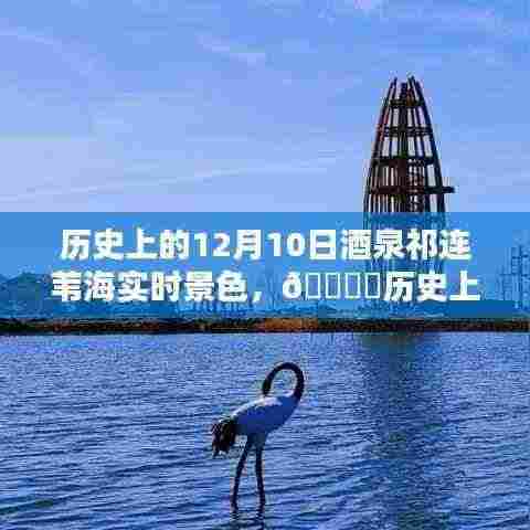 历史上的12月10日，酒泉祁连苇海实时景色沉浸式体验纪实🌄🌟✨