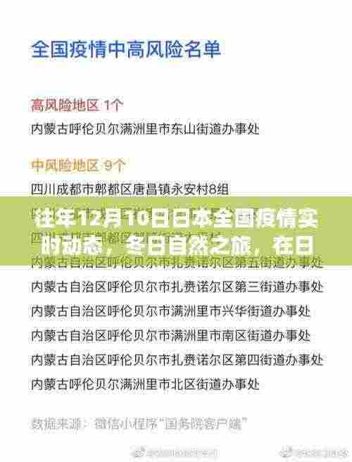 日本疫情动态下的冬日静谧之旅，寻找内心的平和与力量
