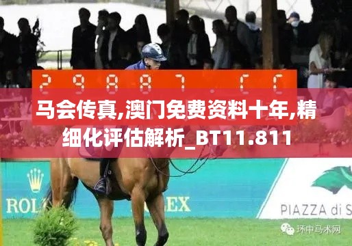 马会传真,澳门免费资料十年,精细化评估解析_BT11.811