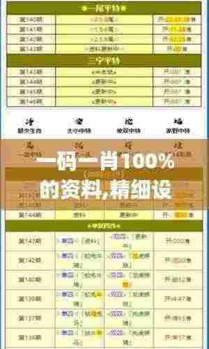 一码一肖100%的资料,精细设计计划_DX版1.673