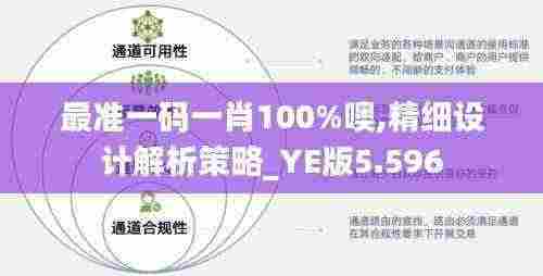 最准一码一肖100%噢,精细设计解析策略_YE版5.596