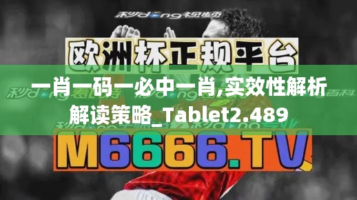 一肖一码一必中一肖,实效性解析解读策略_Tablet2.489