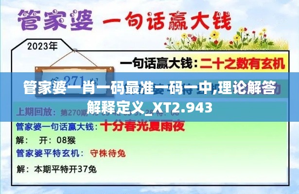 管家婆一肖一码最准一码一中,理论解答解释定义_XT2.943
