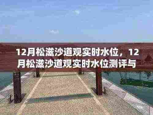 12月松滋沙道观实时水位测评与详解