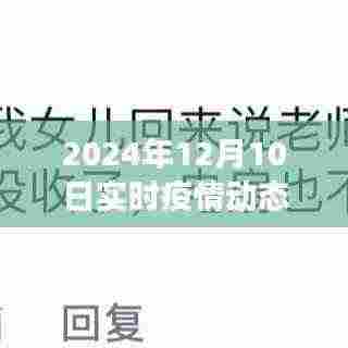 疫情阴霾下的阳光课堂，疫情动态与课堂变化的自信闪耀之路（XXXX年XX月XX日）