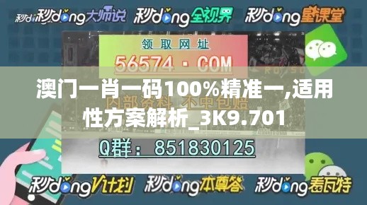 澳门一肖一码100%精准一,适用性方案解析_3K9.701