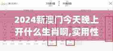 2024新澳门今天晚上开什么生肖啊,实用性执行策略讲解_Tizen13.459