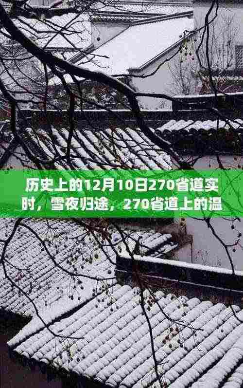 雪夜归途，历史上的今天，在270省道上的暖心故事