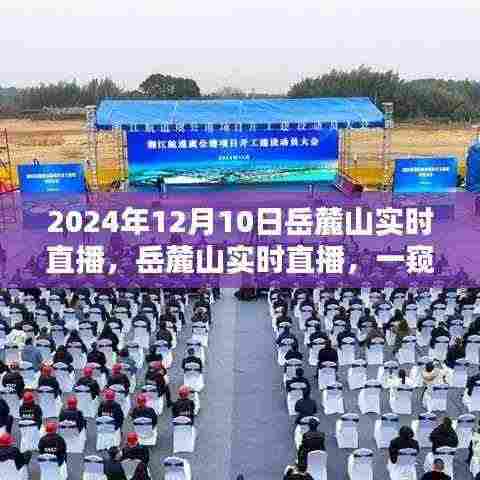 探寻自然与技术的融合之道，岳麓山实时直播一窥究竟