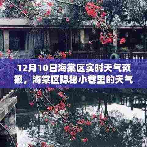 海棠区隐秘小巷的意外惊喜，12月10日实时天气预报与独特风味解读