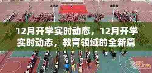 教育新篇章，揭秘十二月开学实时动态