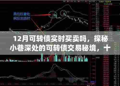 探秘十二月可转债实时买卖的乐趣之旅，小巷深处的交易秘境揭秘。