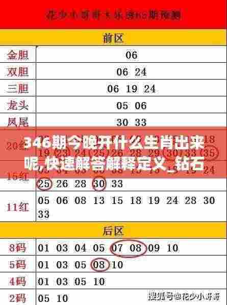 346期今晚开什么生肖出来呢,快速解答解释定义_钻石版6.329
