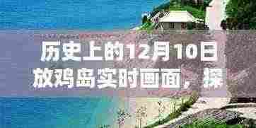 探秘放鸡岛，12月10日历史画卷与小巷风情实时画面揭秘