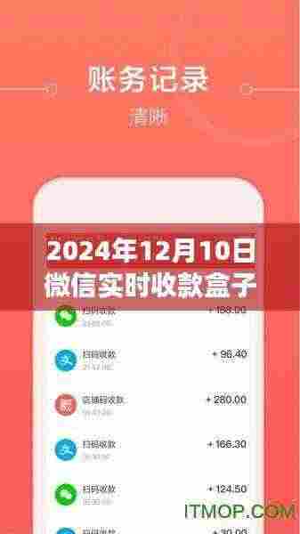 微信实时收款盒子，与自然美景的邂逅之旅启程！