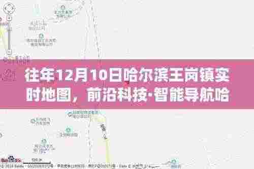 前沿科技重塑哈尔滨王岗镇，实时地图导航点亮生活科技之光