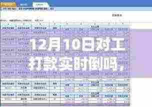深度测评，揭秘12月10日对工打款实时到账服务