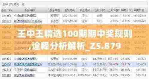 王中王精选100期期中奖规则,诠释分析解析_Z5.879