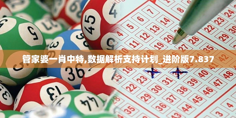 管家婆一肖中特,数据解析支持计划_进阶版7.837
