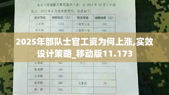 2025年部队士官工资为何上涨,实效设计策略_移动版11.173
