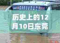 东莞实时公交发展历程，历史上的12月10日回顾