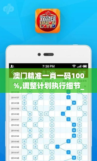 澳门精准一肖一码100%,调整计划执行细节_FHD版3.298