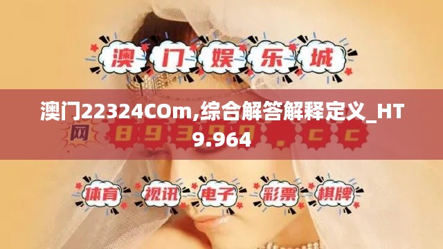 澳门22324COm,综合解答解释定义_HT9.964