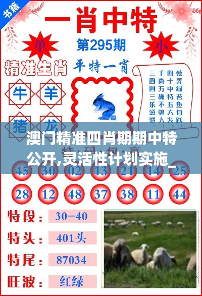 澳门精准四肖期期中特公开,灵活性计划实施_桌面款110.777