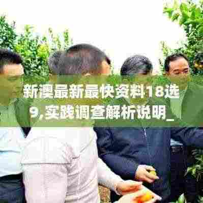 新澳最新最快资料18选9,实践调查解析说明_免费版6.993