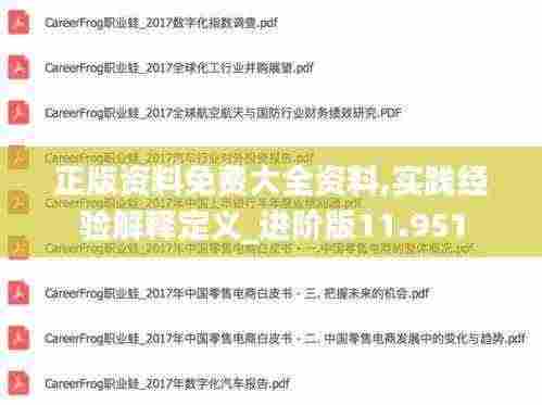 正版资料免费大全资料,实践经验解释定义_进阶版11.951