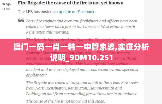 澳门一码一肖一特一中管家婆,实证分析说明_9DM10.251