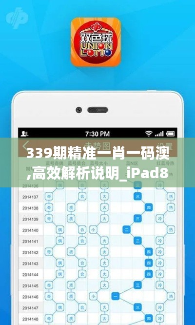 339期精准一肖一码澳,高效解析说明_iPad8.662