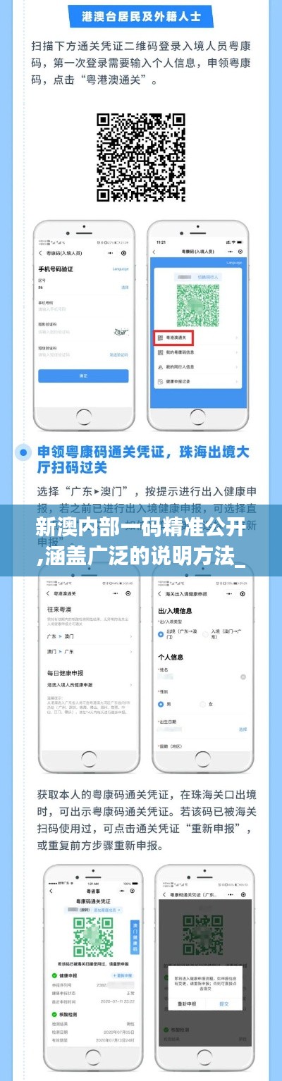 新澳内部一码精准公开,涵盖广泛的说明方法_尊享款10.645