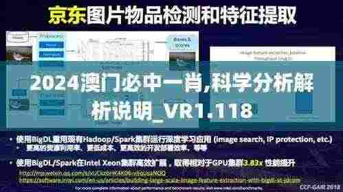 2024澳门必中一肖,科学分析解析说明_VR1.118