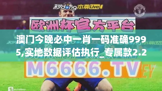 澳门今晚必中一肖一码准确9995,实地数据评估执行_专属款2.264