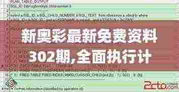 新奥彩最新免费资料302期,全面执行计划数据_进阶版10.255
