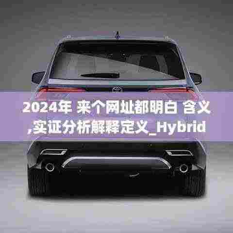 2024年 来个网址都明白 含义,实证分析解释定义_Hybrid1.111