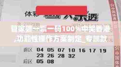 管家婆一票一码100%中奖香港,功能性操作方案制定_专属款12.247