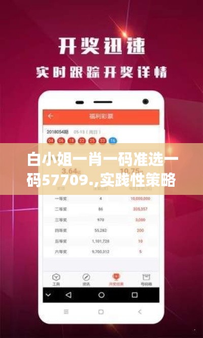 白小姐一肖一码准选一码57709.,实践性策略实施_豪华版9.358