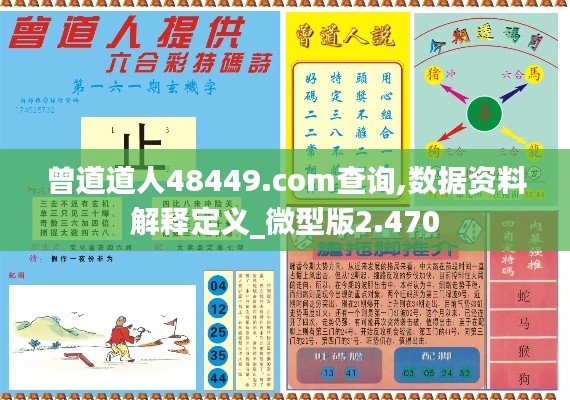 曾道道人48449.com查询,数据资料解释定义_微型版2.470