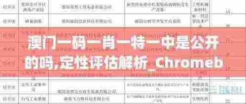澳门一码一肖一特一中是公开的吗,定性评估解析_Chromebook10.335
